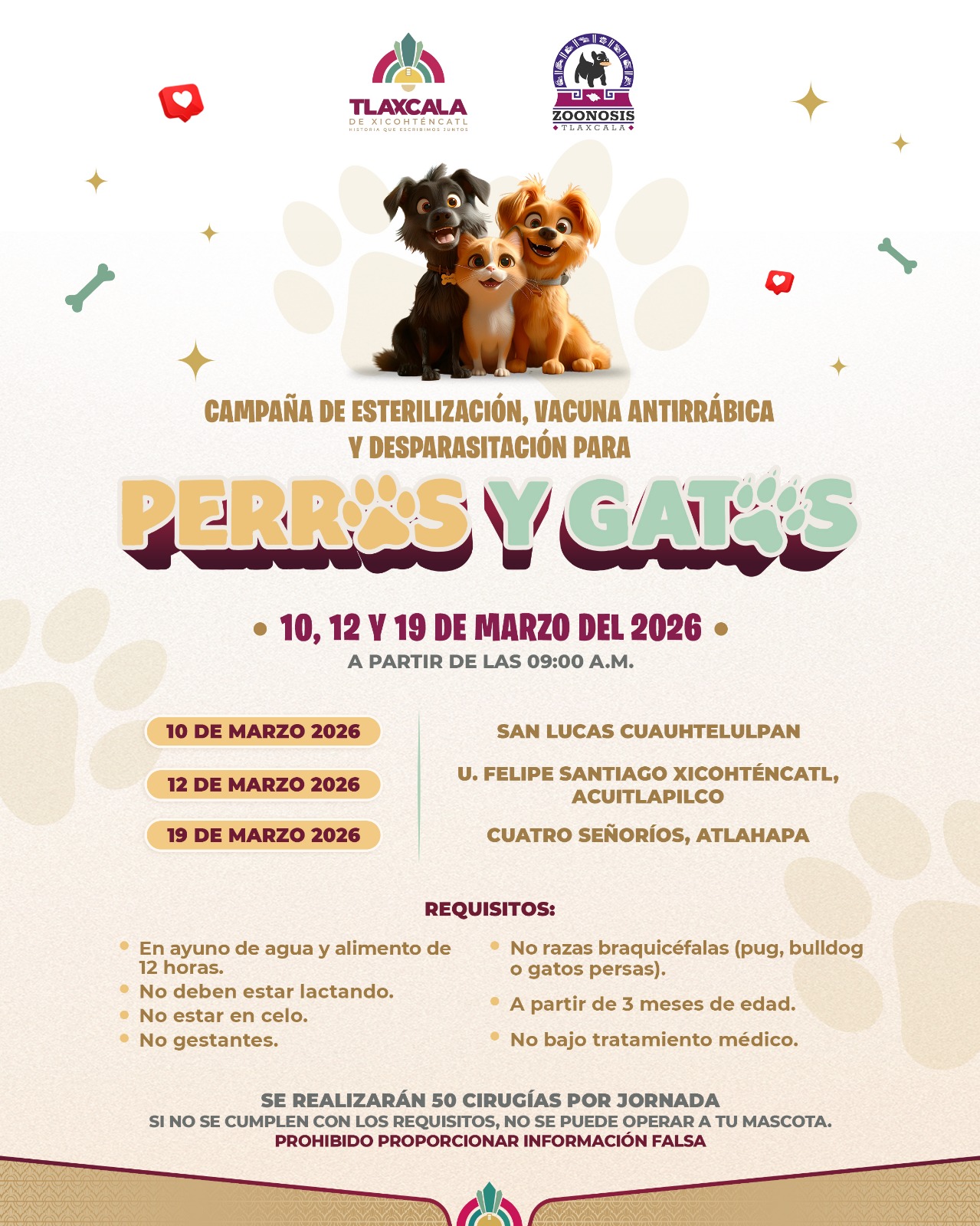 Ayuntamiento de Tlaxcala realizará nueva etapa de esterilización, vacunación y desparasitación canina y felina